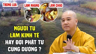 Người Xuất Gia Có Nên Làm Kinh Tế Không ? Thầy Thích Pháp Hòa