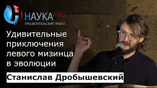 Удивительные приключения левого мизинца в эволюции – антрополог Станислав Дробышевский | Научпоп