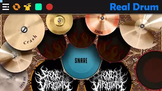 Korn - Did My Time REAL DRUM COVER (app)