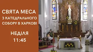 8 серпня, Свята Меса з харківської катедри Внебовзяття Пресвятої Діви Марії