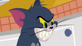 The Tom and Jerry Show - Hunger Strikes - Funny animals cartoons for kids