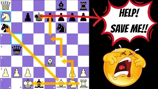 HALOSAR TRAP Variations | Ryder Gambit | Blackmar Diemer Gambit | Chess Trap for Black for Beginners