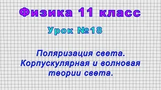 Физика 11 класс (Урок№18 - Поляризация света. Корпускулярная и волновая теории света.)