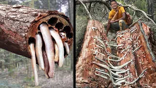 10 Most Dangerous Things Found In Nature