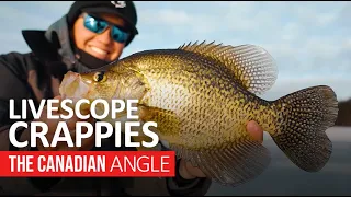 Ice Fishing for Jumbo Crappie | The Canadian Angle