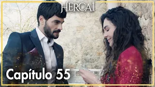 Hercai - Capítulo 55