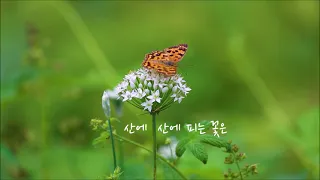 조수미  "산유화" 김소월 김성태 곡