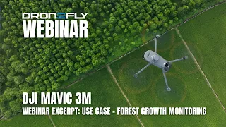 Webinar Excerpt | DJI Mavic 3M Multispectral - Use Case - Forest Growth Monitoring | Dronefly