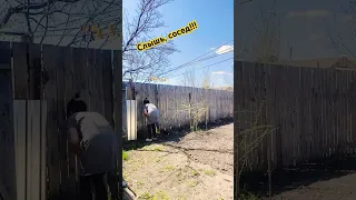 #сосед , слышь🤪. #прикол  с соседом🔥