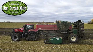 Sugar Beet Harvest 22: "It is finished"