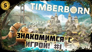 Timberborn ➤ Знакомимся с игрой! #1