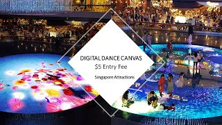 Digital Light Canvas || Marina Bay Sands || Singapore Attractions