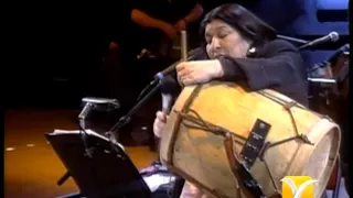 Mercedes Sosa, Entre a Mi Pago sin Golpear, Festival de Viña 1993