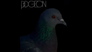 PIDGEON [feat. JOBRIATH] - The Dancer [1969]