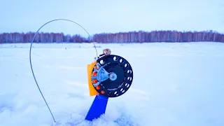 ЖЕРЛИЦЫ НЕ ДАЮТ ПОКОЯ.ТАКОЙ КЛЁВ,ЧТО ДАЖЕ ЧАЙ НЕ УСПЕЕШЬ ПОПИТЬ.