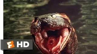 Anaconda (7/8) Movie CLIP - Anaconda at the Waterfall (1997) HD