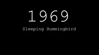 Sleeping Hummingbird - 1969 / All u need is love(69)