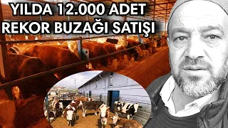 Besi Hayvancılığı Püf Noktaları ! Çok Önemli Bilgiler