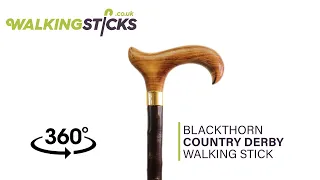 Blackthorn Country Derby Walking Stick