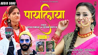 Payaliya |Latest New  Garhwali Dj Song 2020 | Shivam Nautiyal Anisha Rangar & Raj Tiger | Y Series |