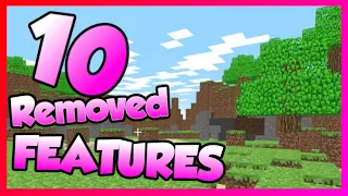 Minecraft 10 SECRET REMOVED FEATURES/BUGS 2021