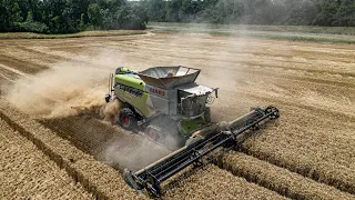 Nový CLAAS Lexion 8800 MY 2023 I 9x CLAAS Lexion I First Farms Malacky I Velká žatva 2023