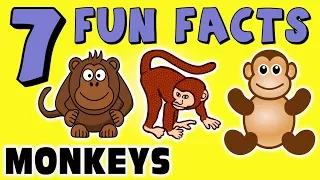 7 FUN FACTS ABOUT MONKEYS! MONKEY FACTS FOR KIDS! Learning Colors! Gorillas! Funny! Sock Puppet!