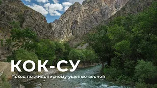 Кок-су весна | горы Узбекистана
