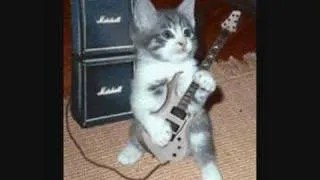 cat playing electric guitar