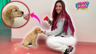 O PRIMEIRO TREINAMENTO DA MINHA CACHORRINHA !! - Fran Japa