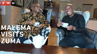 'There was no agenda': Malema and Zuma meet up for tea at Nkandla
