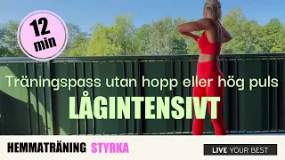 Lågintensiv träning utan hopp eller hög puls - Perfekt för nybörjare