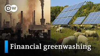 Banks increase funding for fossil fuels despite 'net zero' pledges | DW News