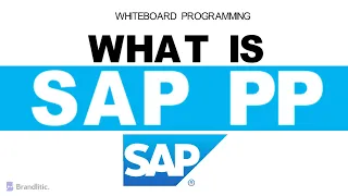 What is SAP PP Explained | Introduction to SAP PP Overview & Basics