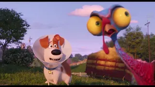 Trailer - THE SECRET LIFE OF PETS 2 (The Rooster) 2019 HD