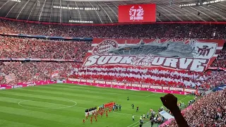 50 Jahre Südkurve München - FC Bayern
