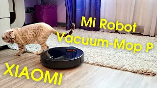 Xiaomi Mi Robot Vacuum-Mop P — мощный и продвинутый