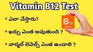 Vitamin B12 Test in Telugu ( విటమిన్ బి 12 రక్త పరీక్ష ఎలా చేస్తారు)