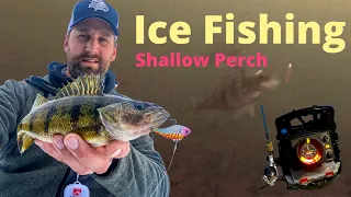 Sight Fishing Yellow Perch With an Underwater Camera. (Shallow water)