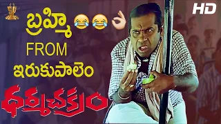 Brahmanandam & A.V.S Super Comedy Scenes || Dharma Chakram Telugu Movie || SP Shorts