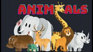 Animals Name | Learn Animals Names in English | Animals Name | Basic English Learning