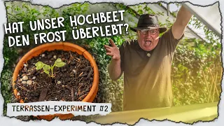 Hochbeet Update & Beeren Anbau auf unserer Terrasse! 🍓 | Episode 2