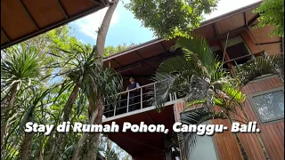 Serunya menginap di Rumah Pohon! Treehouse Boutique Hotel, Grün Canggu, Bali.