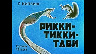 Рикки-Тикки-Тави Р. Киплинг (диафильм озвученный) 1967 г.