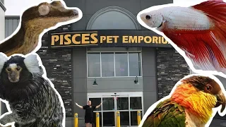 WORLDS LARGEST PET STORE TOUR (PISCES PET EMPORIUM)!!