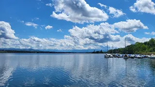 Felchenfischen & Schleppfischen auf dem Greifensee, Mai 2024 - Die Monster-Felche