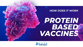 How Does It Work? | Protein Based Vaccines