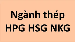 Ngành thép HPG HSG NKG