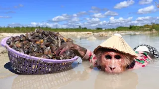 So Smart! Cutis Enlisted Rickshaw To Harvest Mussels