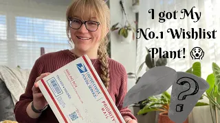 Wishlist Unboxing GONE WRONG!￼ I Bought Wishlist Houseplants